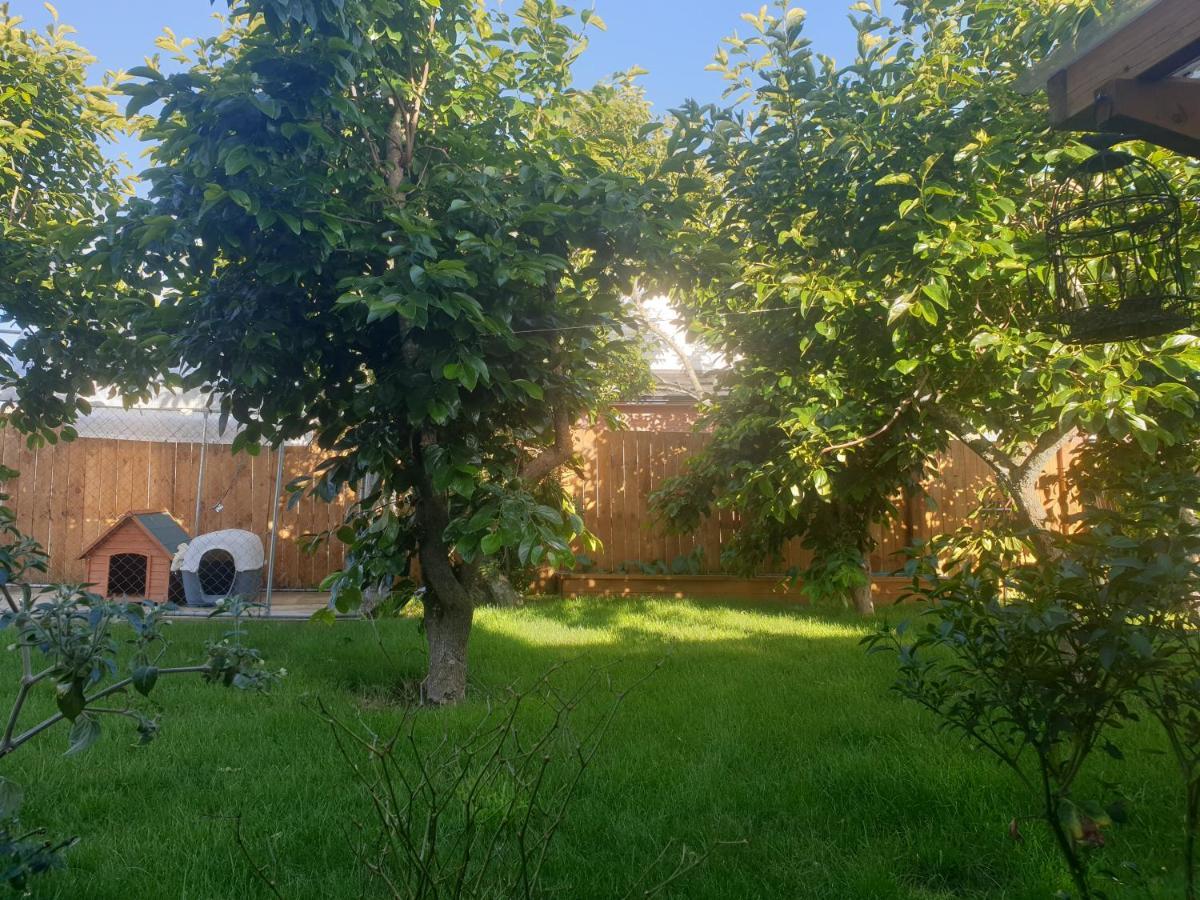 Apartamento Bed N Breakfast On Pear Tree Lane Hamilton Exterior foto
